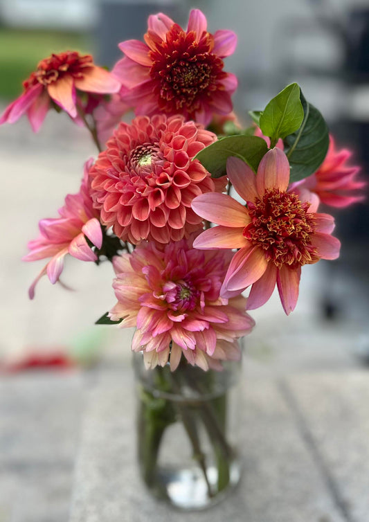 2026 Single Bouquet (May–October)