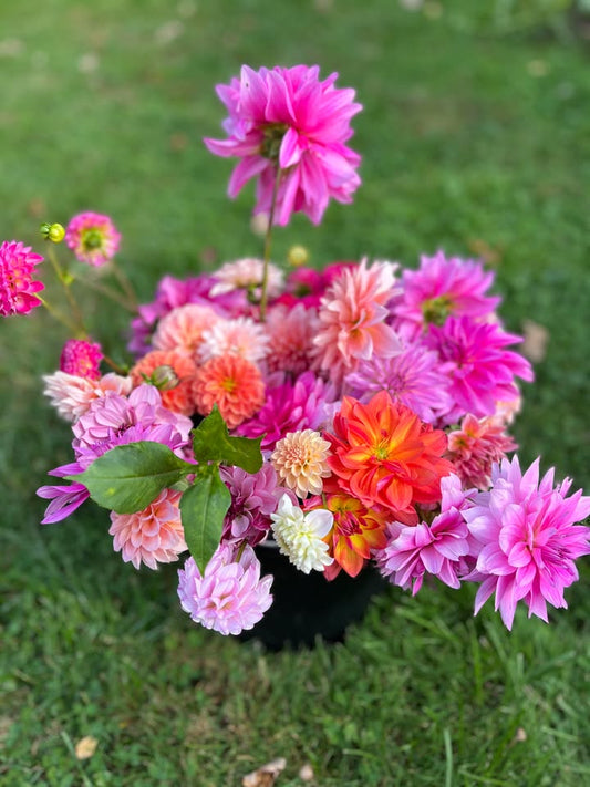 2026 Special Request Bouquets