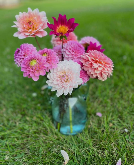 2026 6-Week Summer Subscription