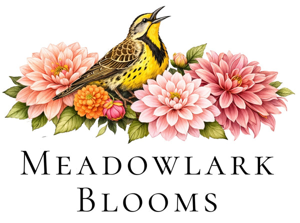 Meadowlark Blooms
