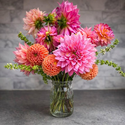 2026 The Dahlia Collection — 4 Weeks of Statement Blooms Subscription