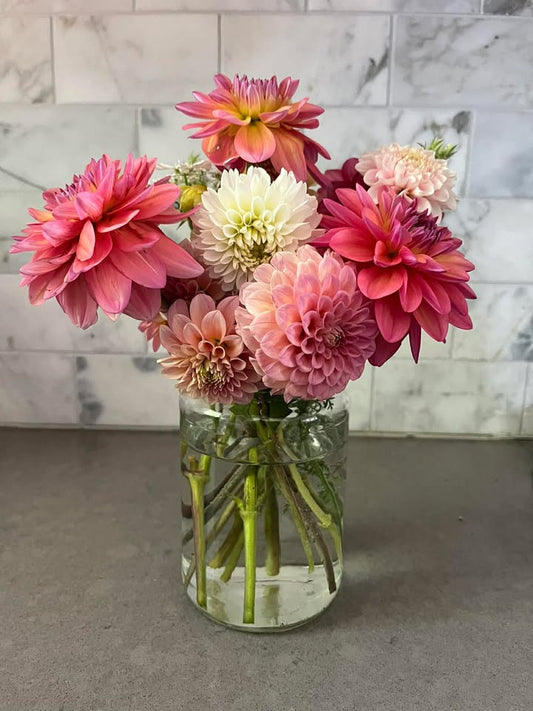 2026 4-Week Spring/Summer Subscription